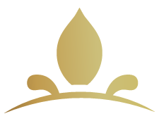 Coaching ejecutivo en comunicación verbal – Sistema Q ONE